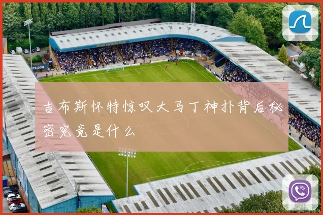 吉布斯怀特惊叹大马丁神扑背后秘密究竟是什么